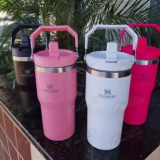 Copo de Viagem com Isolamento a vácuo com Alça e Canudo 600ML