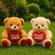 Urso De Pelúcia Coração Cod. FE7388